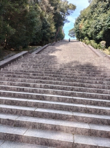 2026-02-14 13.03.57.jpg